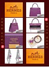 HERMES KELLY 25 (Pre-Owned) - Sellier, Anemone, Epsom leather, Ghw